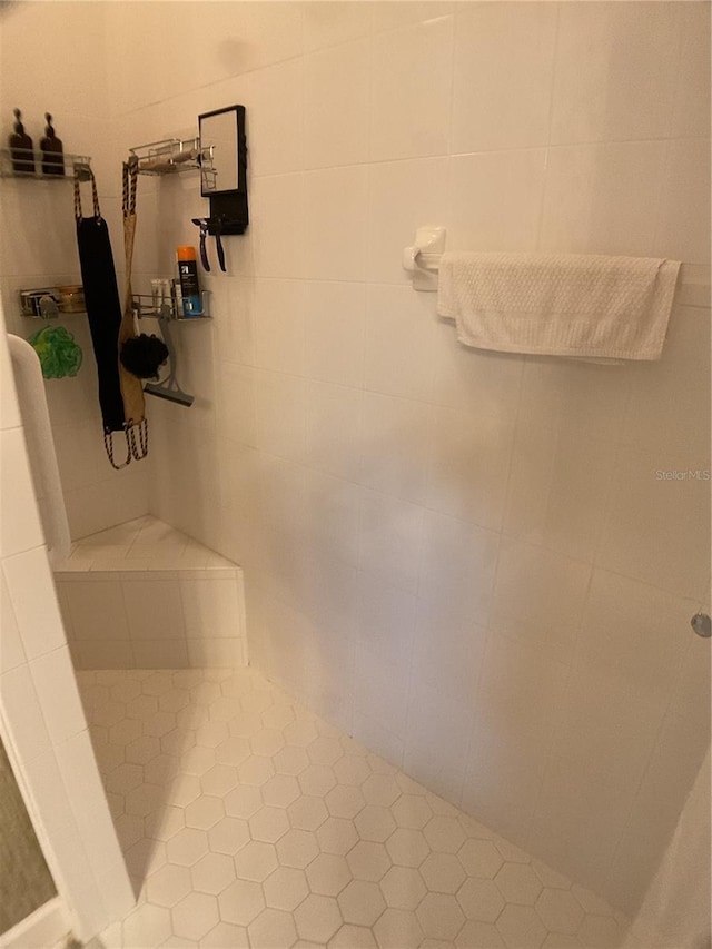 1961 Palo Duro Blvd, North Fort Myers, FL 33917 - full bath featuring tiled shower