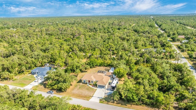 aerial view of a forest