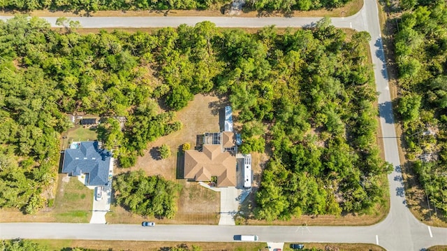 bird's eye view
