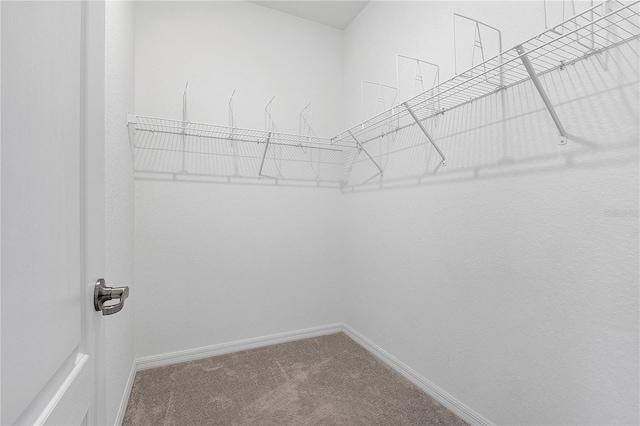 17620 Winding Wood Ln, Punta Gorda, FL 33982 - spacious closet featuring carpet