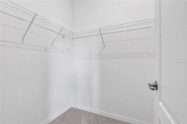 17620 Winding Wood Ln, Punta Gorda, FL 33982 - walk in closet with carpet floors