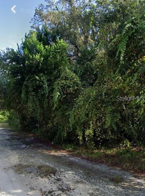 9536 Merton St, New Port Richey, FL 34654