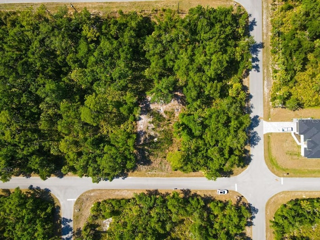 13406 Doubleday Ave, Port Charlotte, FL 33953