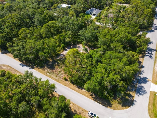 13406 Doubleday Ave, Port Charlotte, FL 33953