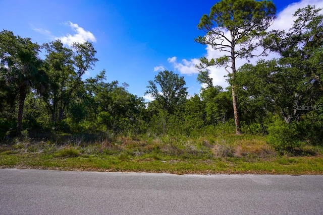 13406 Doubleday Ave, Port Charlotte, FL 33953
