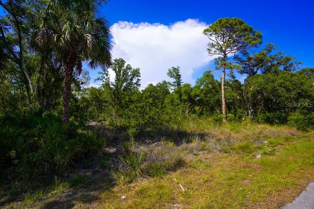 13406 Doubleday Ave, Port Charlotte, FL 33953
