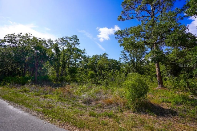 13406 Doubleday Ave, Port Charlotte, FL 33953
