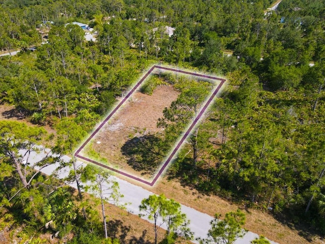 13145 Peck Ave, Port Charlotte, FL 33953