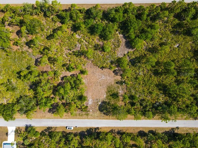 13145 Peck Ave, Port Charlotte, FL 33953