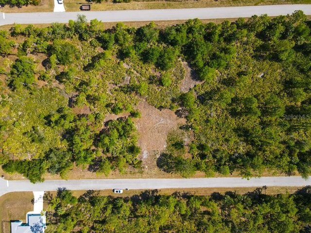 13145 Peck Ave, Port Charlotte, FL 33953