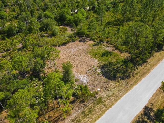 13145 Peck Ave, Port Charlotte, FL 33953