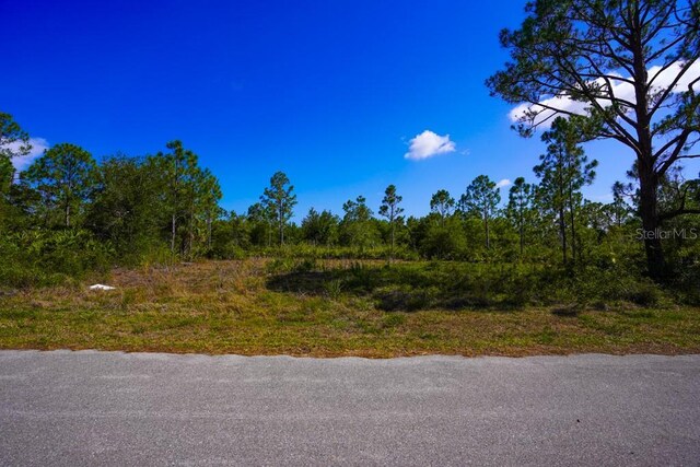 13145 Peck Ave, Port Charlotte, FL 33953