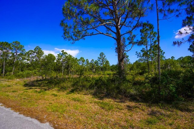13145 Peck Ave, Port Charlotte, FL 33953