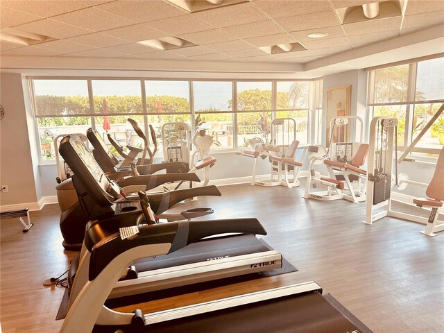 3329 Sunset Key Cir Unit 107, Punta Gorda, FL 33955 - gym with healthy amount of natural light, baseboards, wood finished floors, and a paneled ceiling