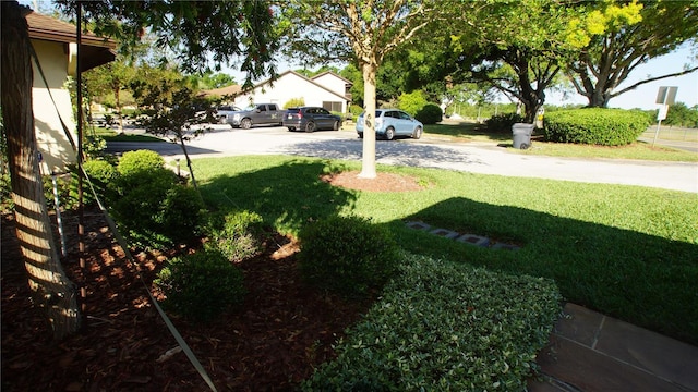 925 Fenton Ln Unit 11, Lakeland, FL 33809 - view of grassy yard