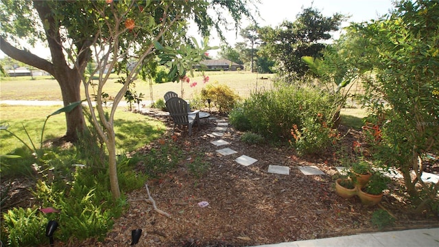 925 Fenton Ln Unit 11, Lakeland, FL 33809 - view of grassy yard