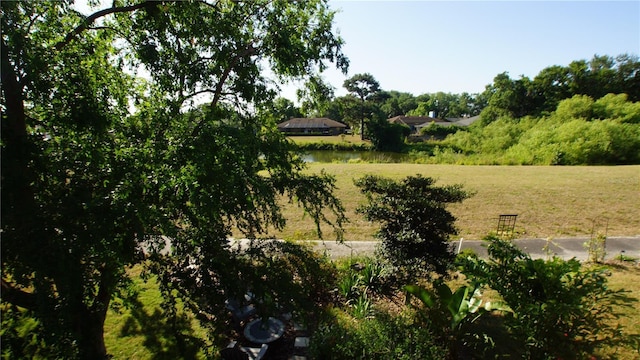 925 Fenton Ln Unit 11, Lakeland, FL 33809 - view of grassy yard