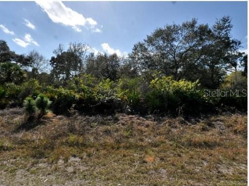 Danton Ter, North Port, FL 34288