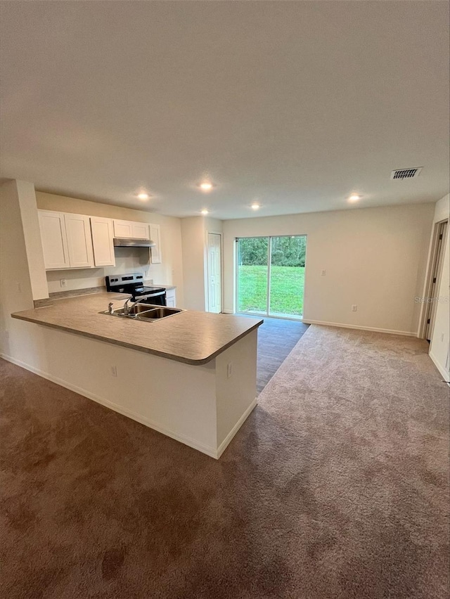 4200 Wanda St, Hastings, FL 32145 - kitchen featuring stainless steel electric range, dark colored carpet, under cabinet range hood, white cabinets, and recessed lighting