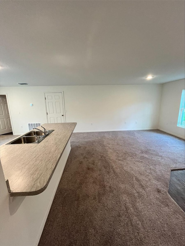 4200 Wanda St, Hastings, FL 32145 - unfurnished living room with carpet floors, baseboards, and a sink