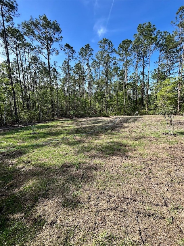 4200 Wanda St, Hastings, FL 32145 - view of yard