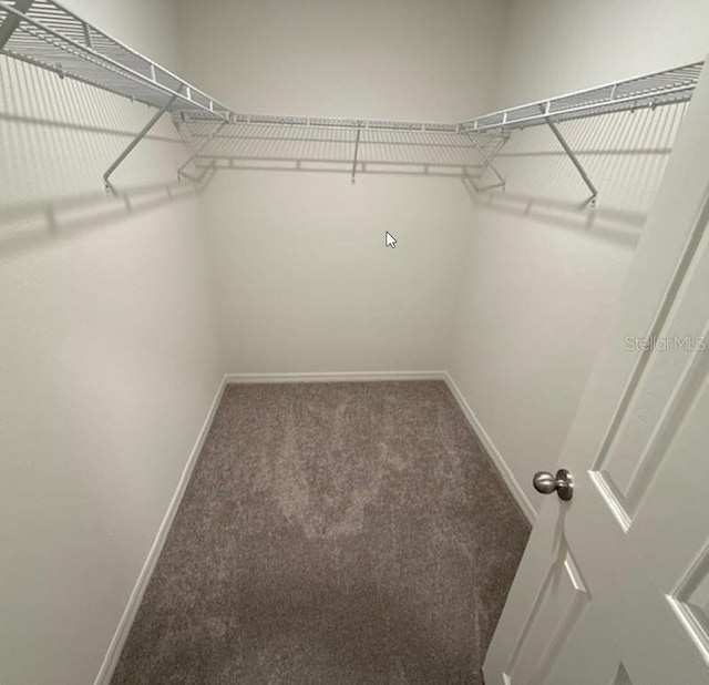 26 Postwood Dr, Palm Coast, FL 32164 - spacious closet featuring carpet floors