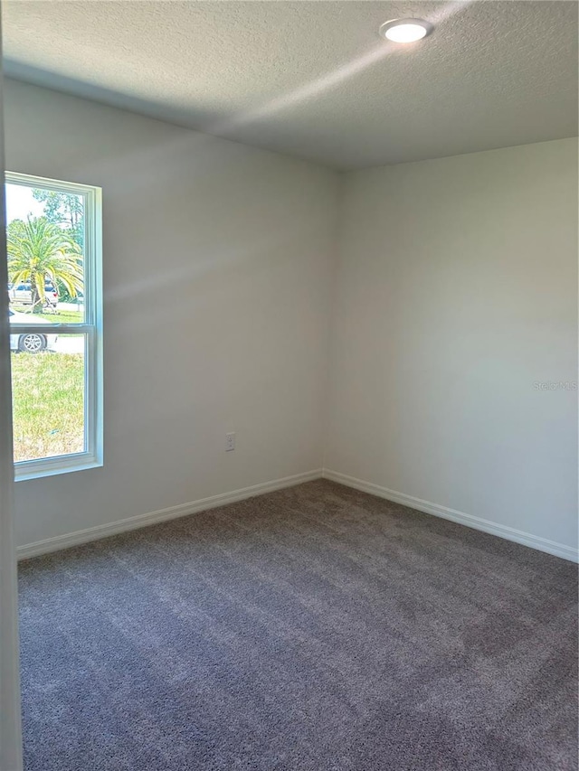 empty room featuring a textured ceiling, carpet floors, healthy amount of natural light, and baseboards