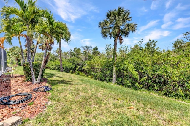 5046 San Rocco Ct, Punta Gorda, FL 33950 - view of green lawn