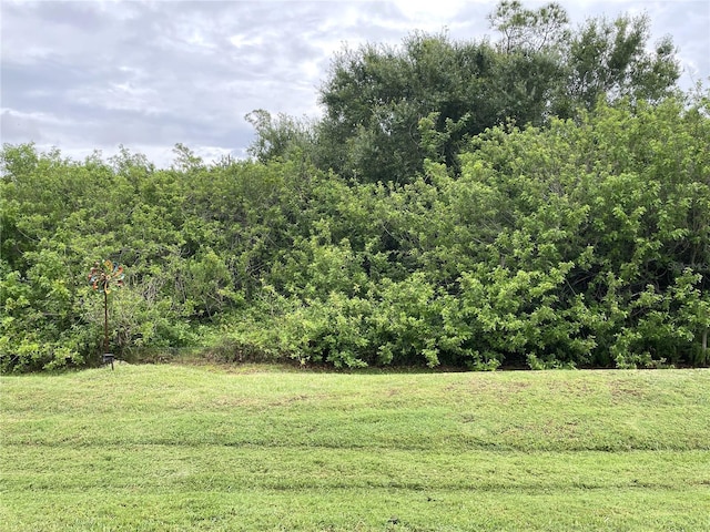 13170 SW Pembroke Cir N, Lake Suzy, FL 34269 - view of grassy yard