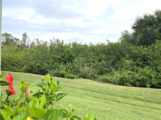 13170 SW Pembroke Cir N, Lake Suzy, FL 34269 - view of green lawn with a view of trees