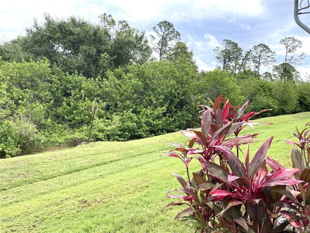 13170 SW Pembroke Cir N, Lake Suzy, FL 34269 - view of green lawn