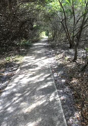 13170 SW Pembroke Cir N, Lake Suzy, FL 34269 - view of street featuring a view of trees