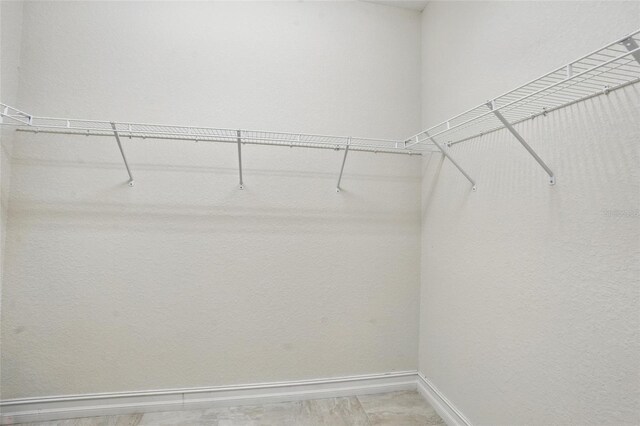 7505 Carissa, Punta Gorda, FL 33955 - view of walk in closet