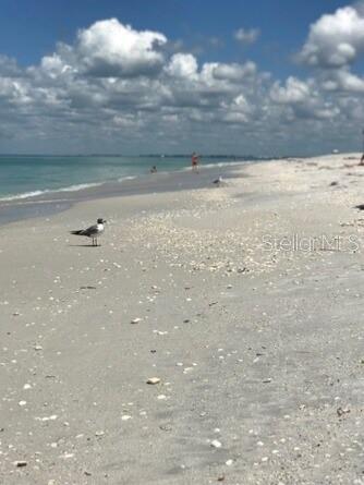 279 Mariner Ln, Rotonda West, FL 33947 - water view featuring local beach
