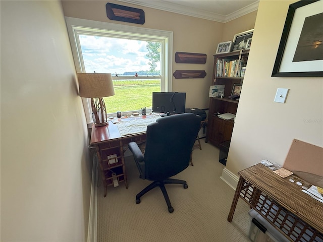 1005 S Sands Paradise Pt, Inverness, FL 34450 - carpeted home office featuring crown molding