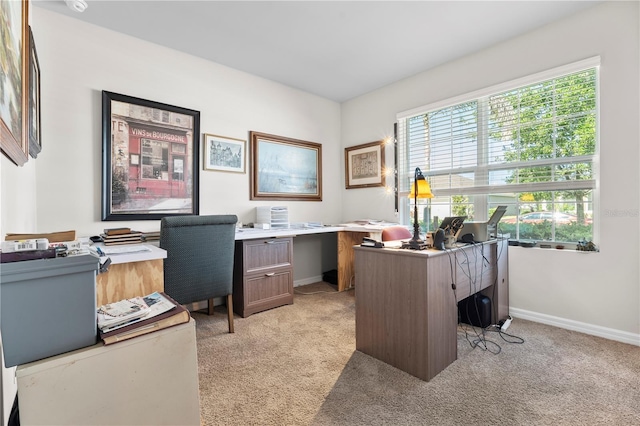 25312 E Lenox Cir, Punta Gorda, FL 33950 - home office featuring light colored carpet and baseboards