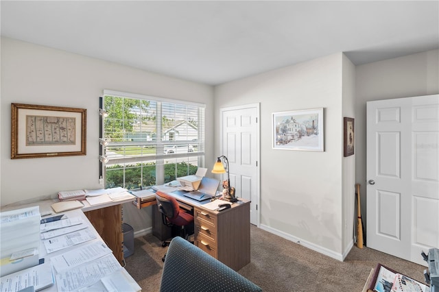 25312 E Lenox Cir, Punta Gorda, FL 33950 - office with carpet floors and baseboards