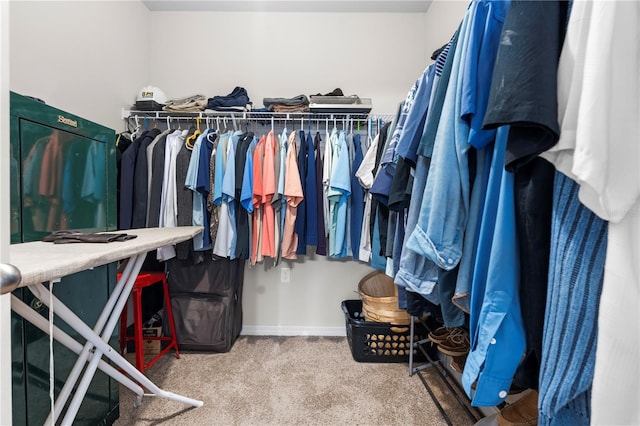 25312 E Lenox Cir, Punta Gorda, FL 33950 - spacious closet with carpet flooring