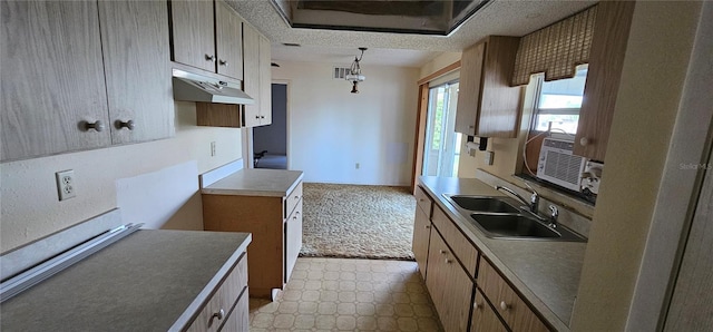 27193AND27197 Voyageur Dr, Punta Gorda, FL 33983 - kitchen with under cabinet range hood, a sink, and light flooring