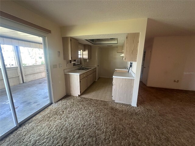 27193AND27197 Voyageur Dr, Punta Gorda, FL 33983 - kitchen featuring a sink, light countertops, light colored carpet, a textured ceiling, and exhaust hood