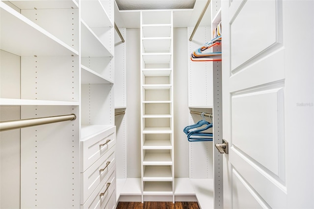 view of spacious closet