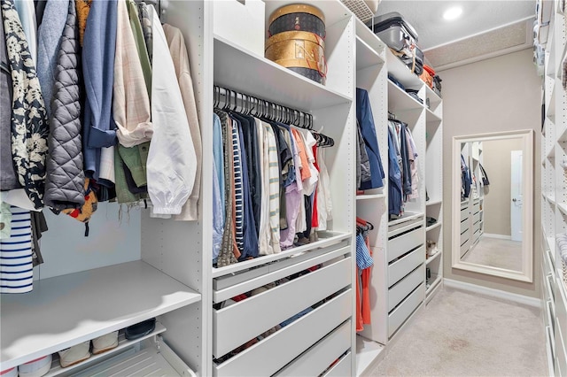 17629 Palmetto Pass Ln, Punta Gorda, FL 33982 - spacious closet with light carpet