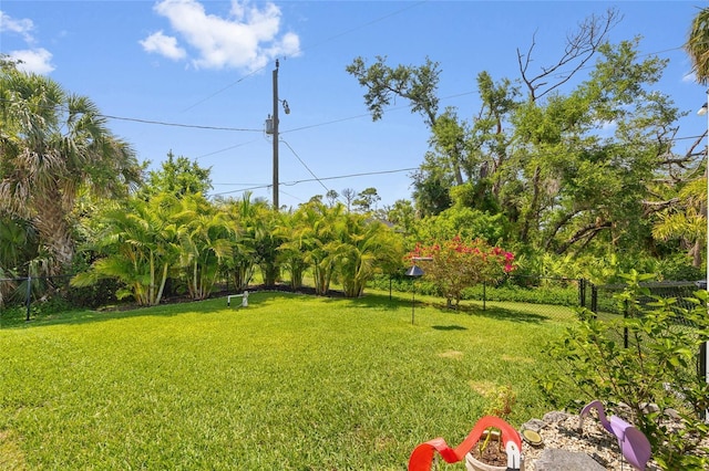 17396 Cox Ave, Port Charlotte, FL 33948 - view of yard
