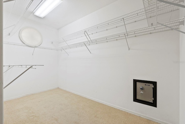 13783 Palmetto Point Ct, Port Charlotte, FL 33953 - walk in closet with carpet floors