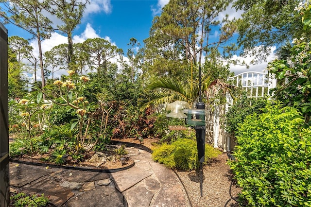 4443 Abcor Rd, North Port, FL 34286 - view of yard