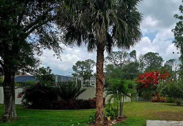 4443 Abcor Rd, North Port, FL 34286 - view of yard