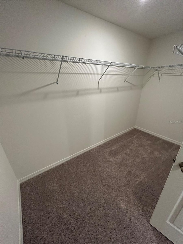 4 Zodiacal Pl, Palm Coast, FL 32164 - spacious closet with dark colored carpet