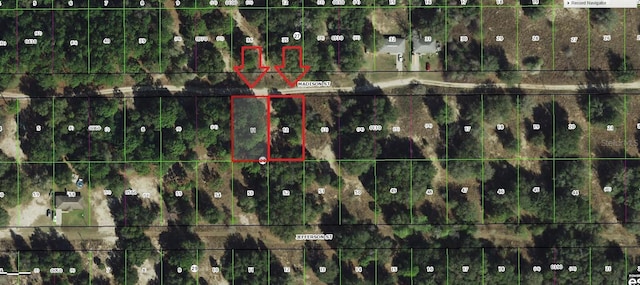 2411 Madison St, Inverness, FL 34453