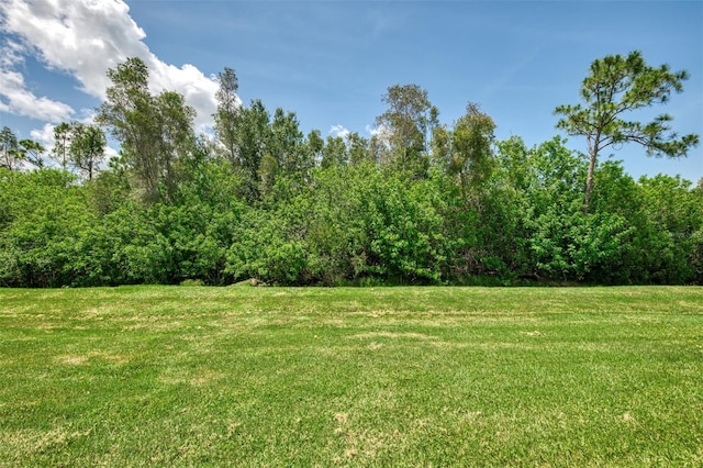 13210 SW Pembroke Cir N, Lake Suzy, FL 34269 - view of green lawn with a view of trees