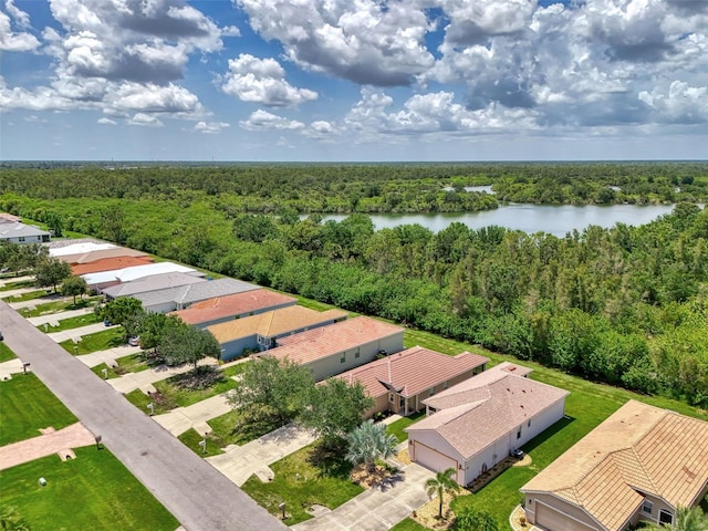 13210 SW Pembroke Cir N, Lake Suzy, FL 34269 - aerial view of a heavily wooded area and a nearby body of water